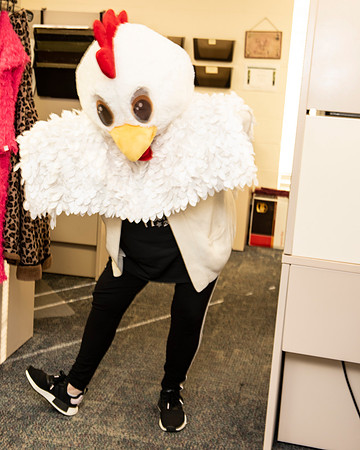 Chicken