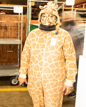 Giraffe